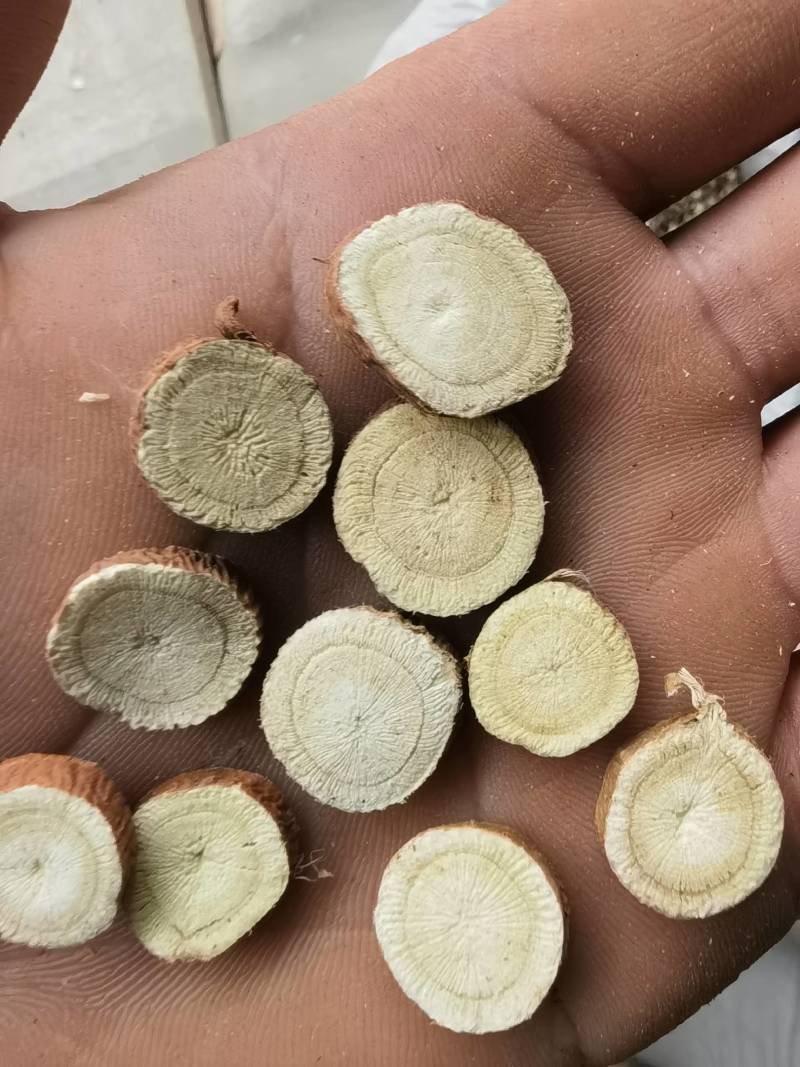 甘草片新疆甘草2.0以上甘草1000g起批关书药业