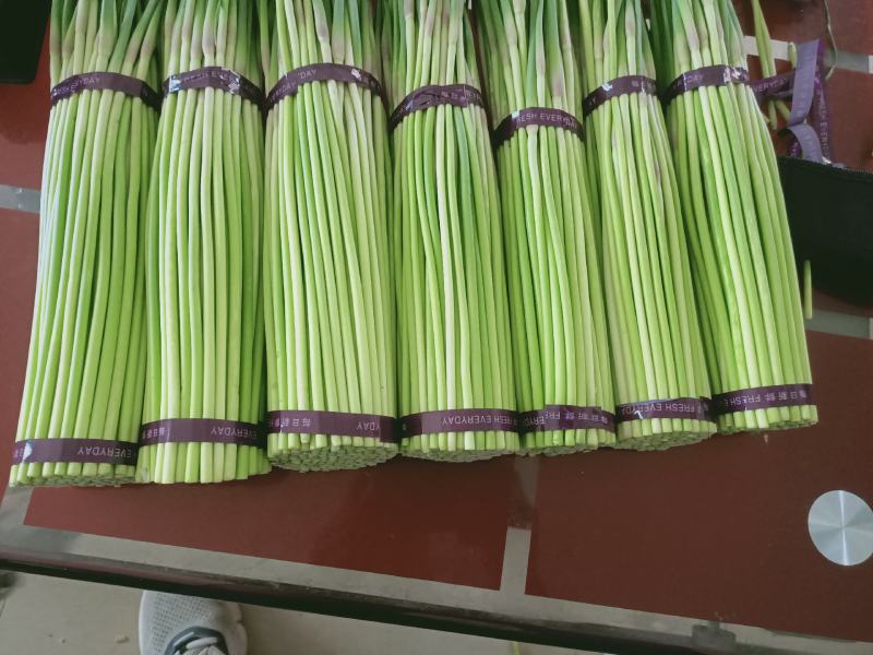 精品蒜苔红帽蒜薹诚信经营质量保证常年供应电商