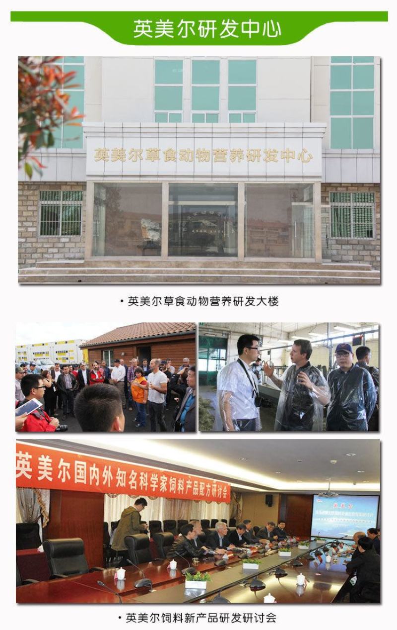 鹅饲料小鹅育肥增肥预混料