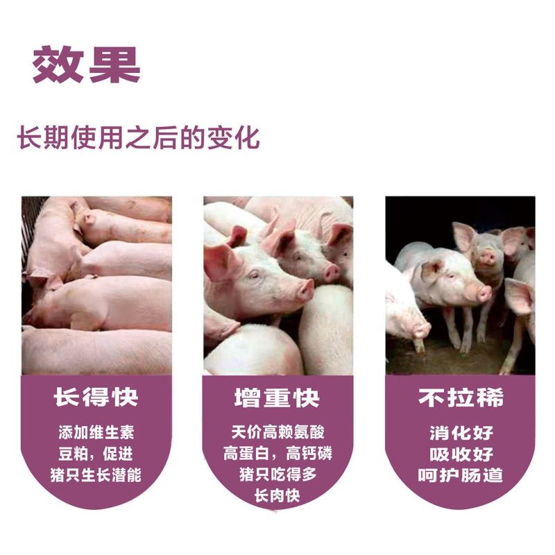 大农牌乳猪饲料40%高蛋白乳猪浓缩饲料199