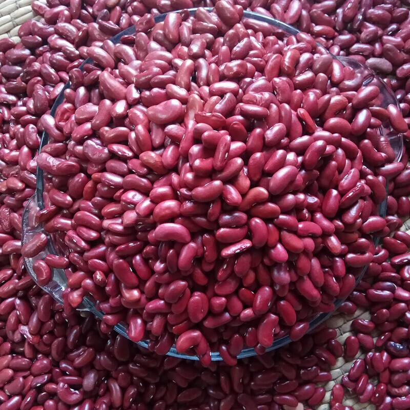 红芸豆新豆红腰豆农家自种大红豆五斤起批饭豆一件代发