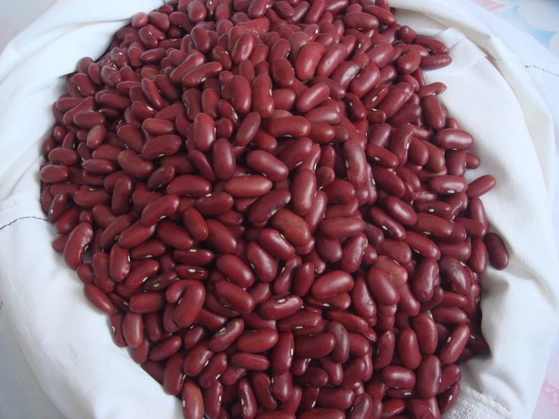 红芸豆新豆红腰豆农家自种大红豆五斤起批饭豆一件代发