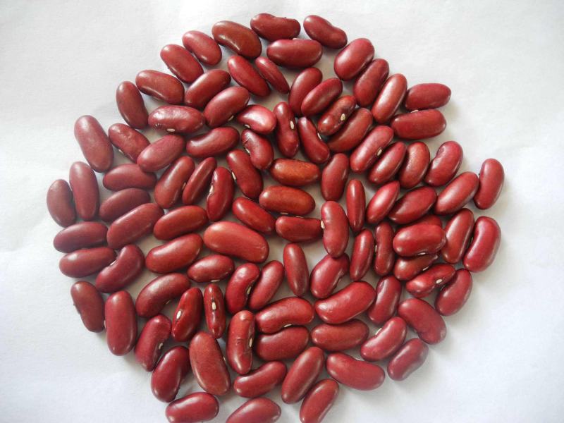 红芸豆新豆红腰豆农家自种大红豆五斤起批饭豆一件代发