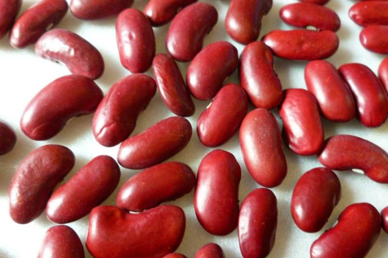 红芸豆新豆红腰豆农家自种大红豆五斤起批饭豆一件代发