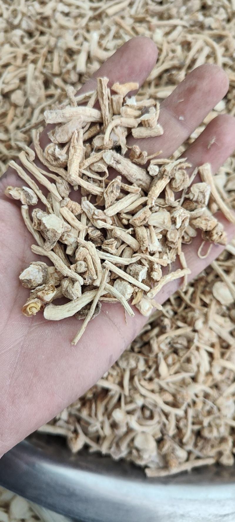 西洋参投料供应批发诚信经营支持混批量大从优