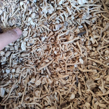 西洋参投料供应批发诚信经营支持混批量大从优