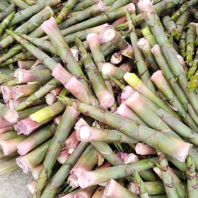 高山鲜竹笋，绿色食材，