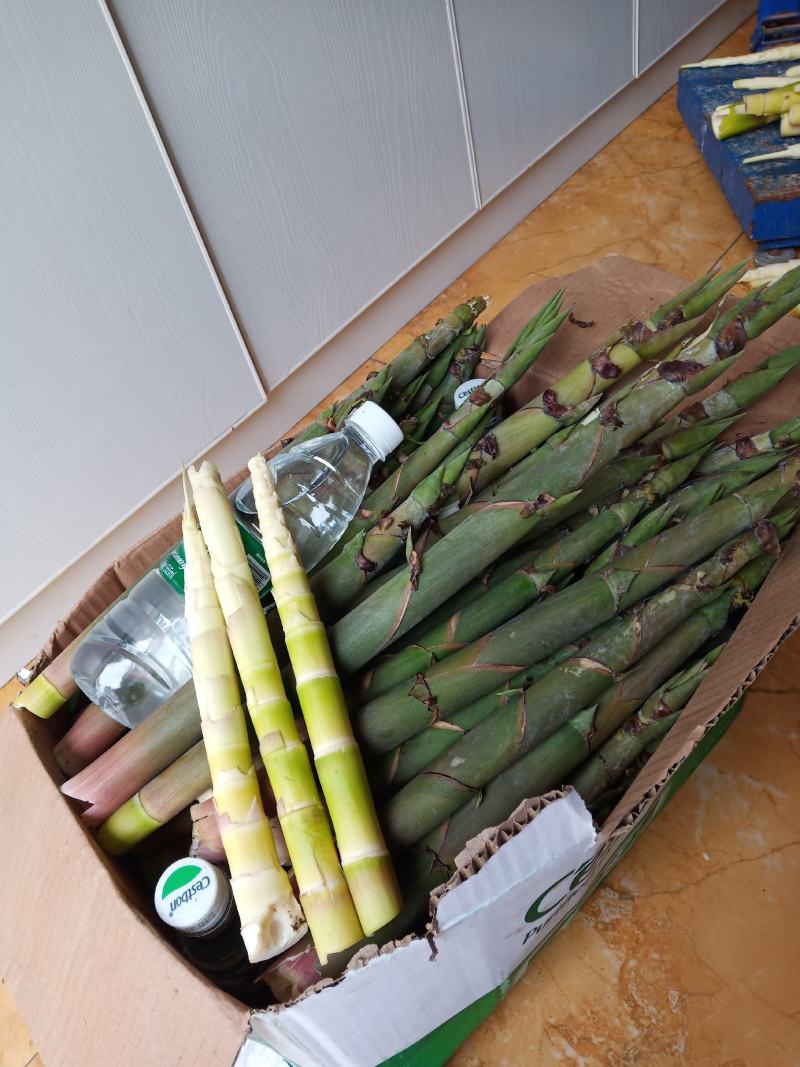 高山鲜竹笋，绿色食材，