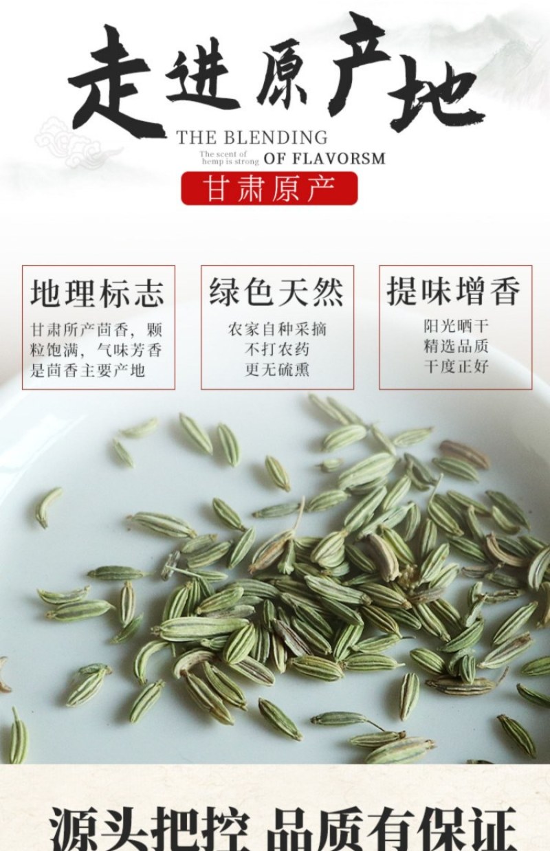 甘肃新货小茴香大色绿去腥解腻火锅炖肉香抖调料可磨1O斤包