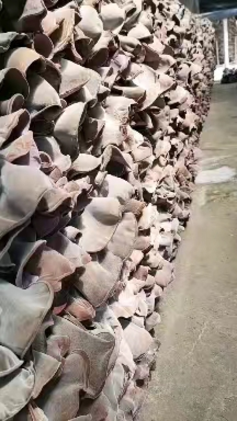 木耳