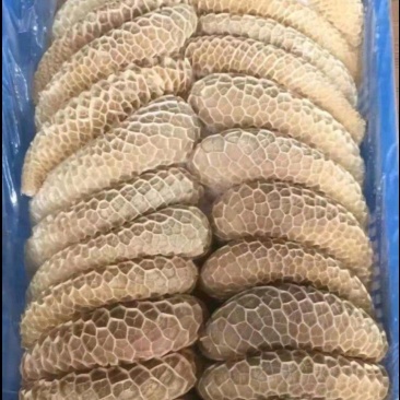 熟牛金钱肚，熟度高，精修无油，里外干净，肚子厚实！源头