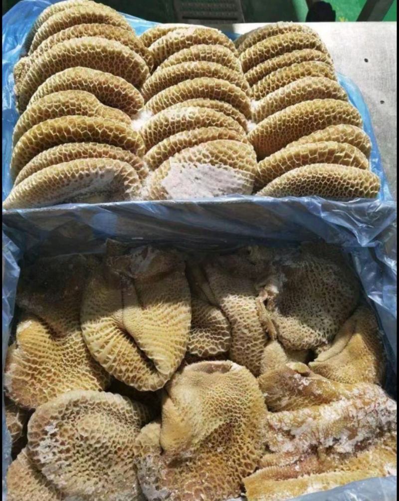 熟牛金钱肚，熟度高，精修无油，里外干净，肚子厚实！源头