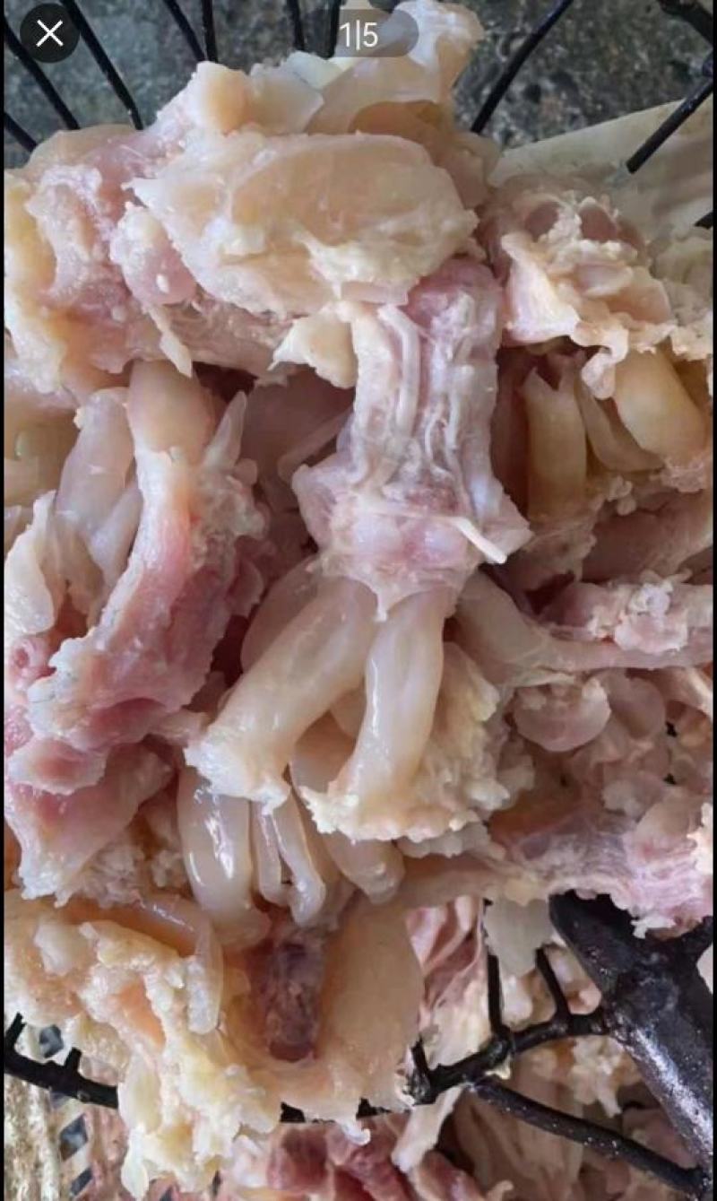 牛蹄筋，国产熟牛蹄筋，原味，可直接食用，全程冷链运输！！