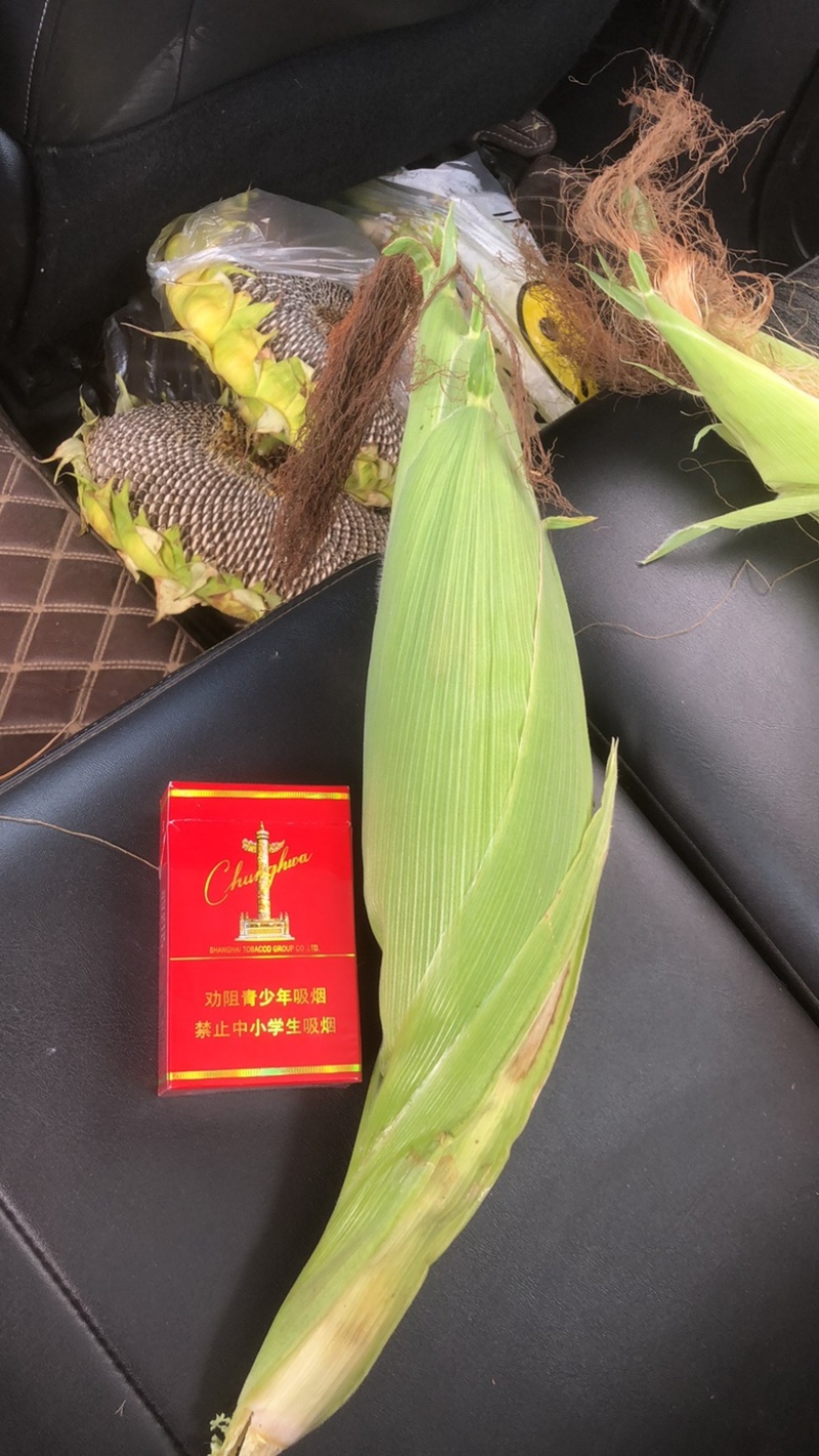玉米