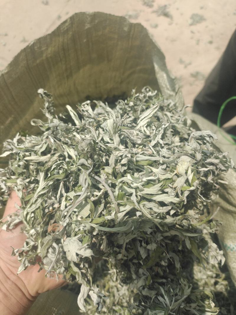 艾叶纯叶山东临沂产地直销干净无杂质颜色青绿色
