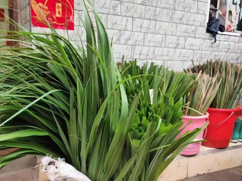 蛋黄肉粽/灰水粽/农家粽子/纯手工粽子