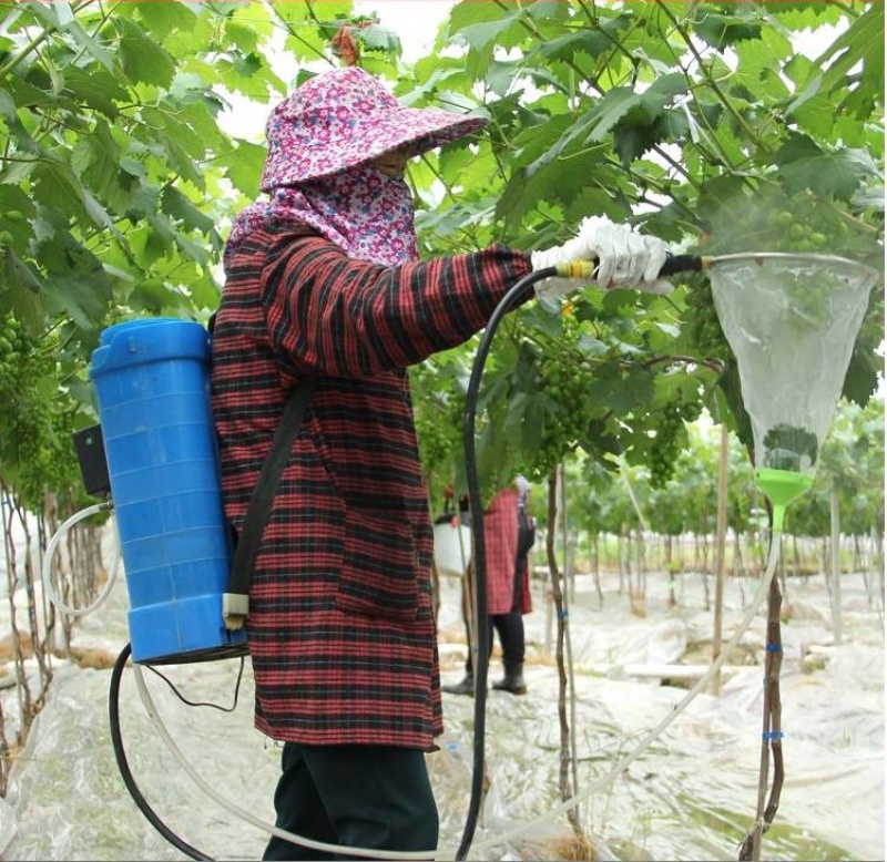 葡萄膨果拉穗神器浸果器