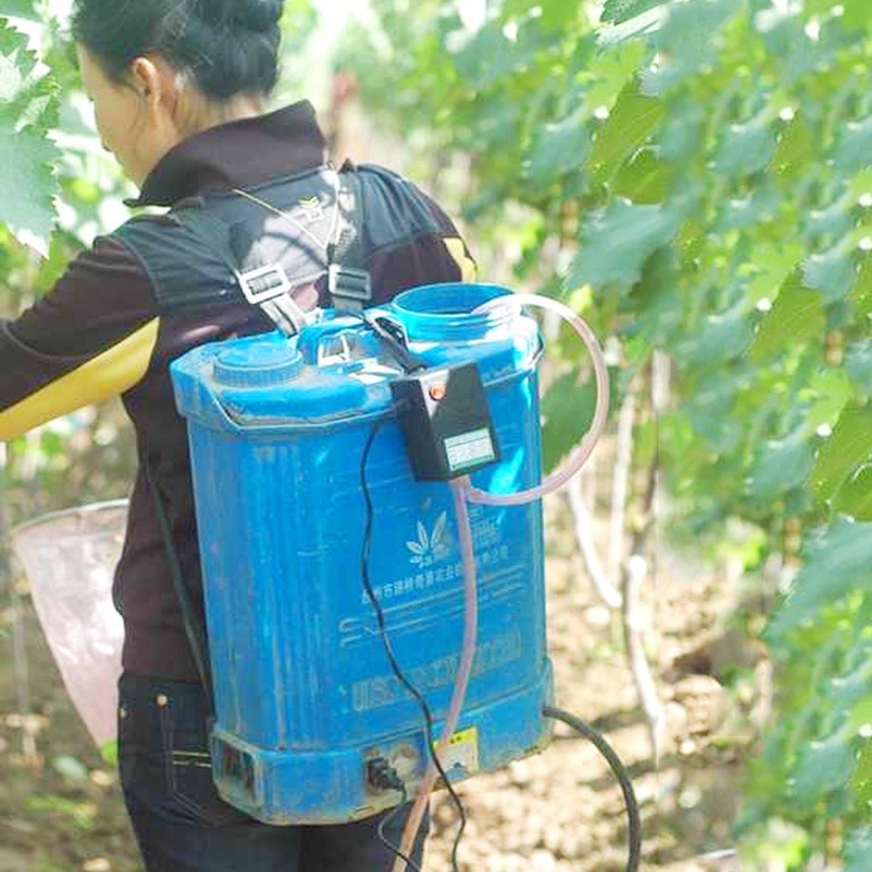 葡萄膨果拉穗神器浸果器