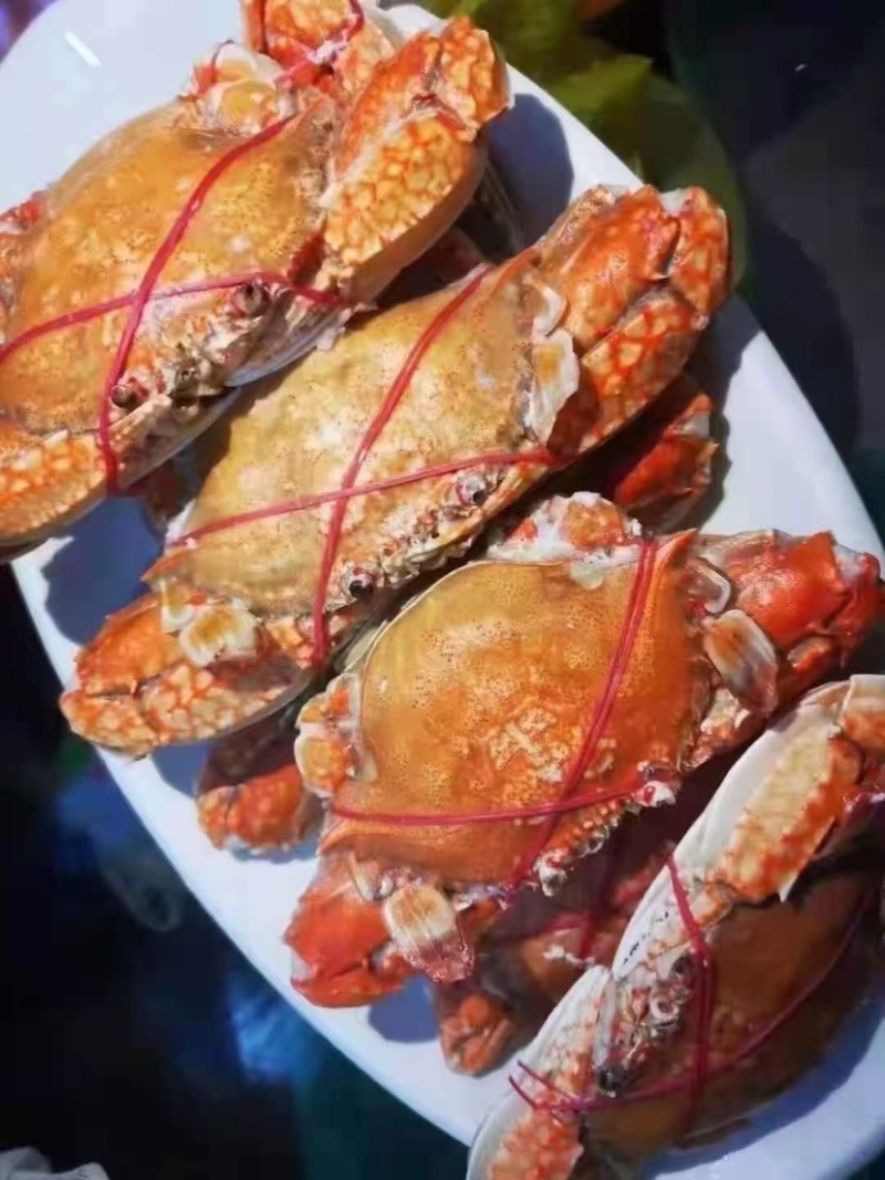远海肉蟹深海拥剑梭子蟹扁蟹新鲜活冷冻海捕水产