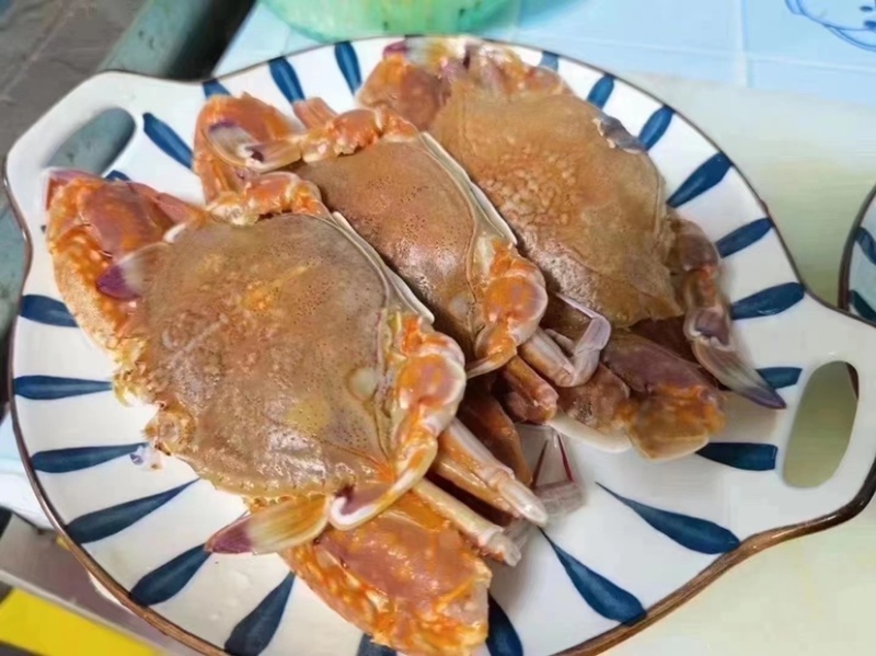 远海肉蟹深海拥剑梭子蟹扁蟹新鲜活冷冻海捕水产