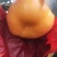 黄油蟠桃
