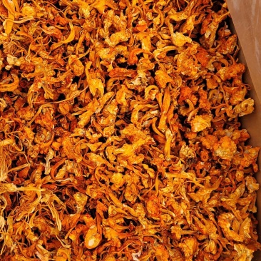 虫草花疙瘩球（打粉专用）