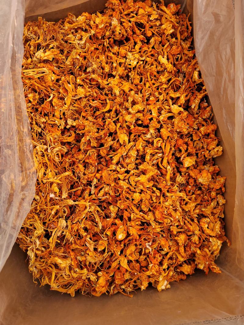 虫草花疙瘩球（打粉专用）