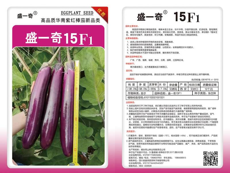 软糯香新品种烧烤茄种子盛一奇15F1耐热耐寒露地栽培紫红