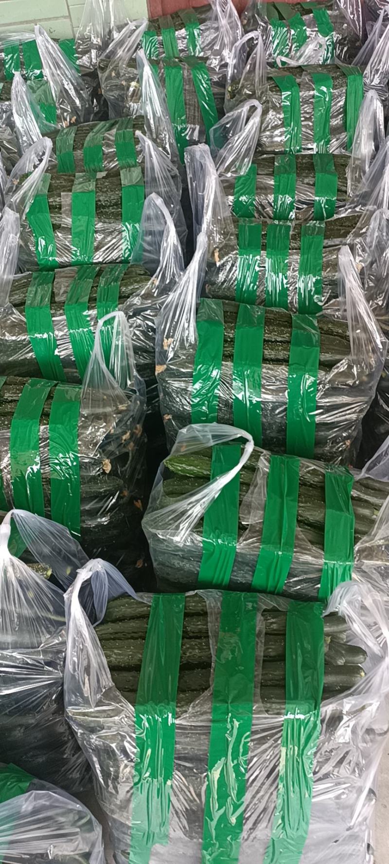刺黄瓜大量上市，优质电商市场货源，可拼货。售后服务有保障