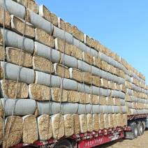 2022麦秸杆柔丝现在开始接受预订今年产量预计2万吨
