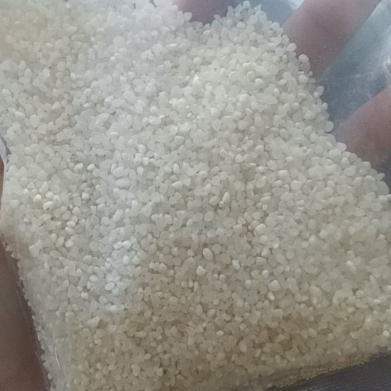 碎大米