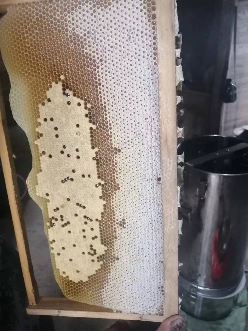 正宗高山百花蜜，无任何添加