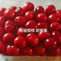 樱桃早大果红灯俄萨米脱布鲁克斯美早俄八正在热卖一件代发