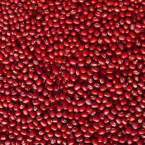 红小豆一级22年新货农家小红豆珍珠粒饱满原生态红豆无污染