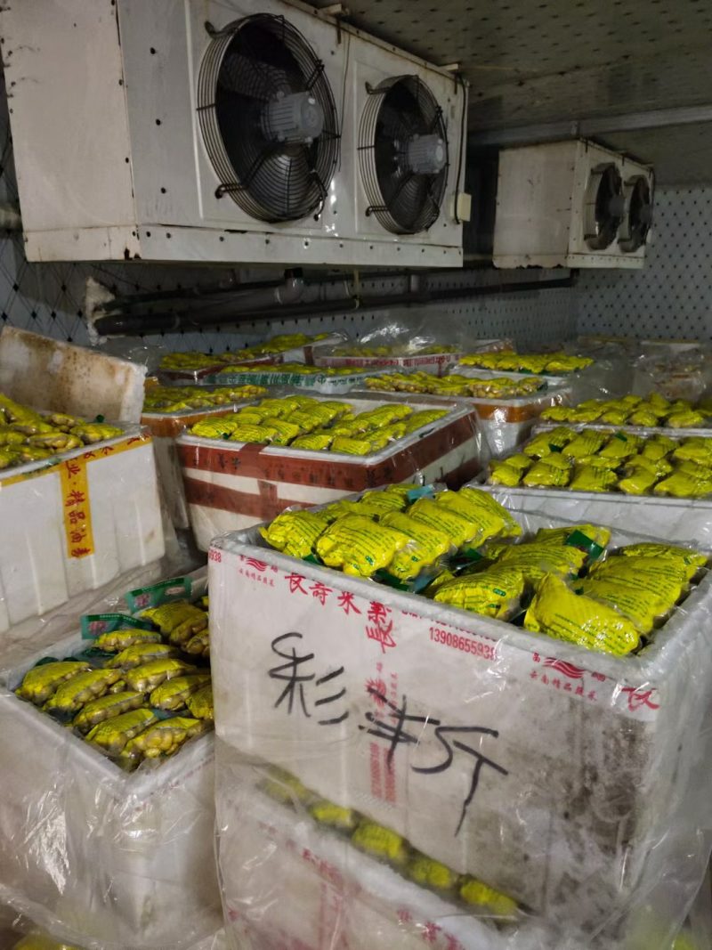 生鲜真空板栗仁超市商场酒店菜市场电商毛重半斤净板栗3两一
