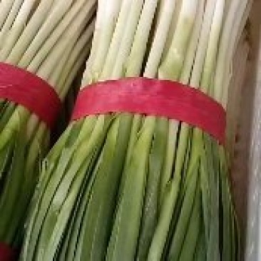 香葱，青蒜油菜以及各种蔬菜
