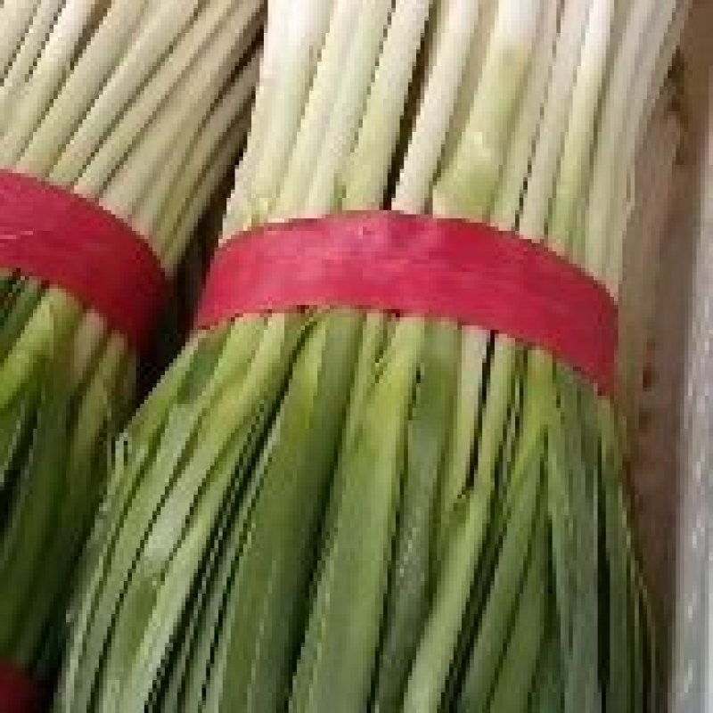 香葱，青蒜油菜以及各种蔬菜