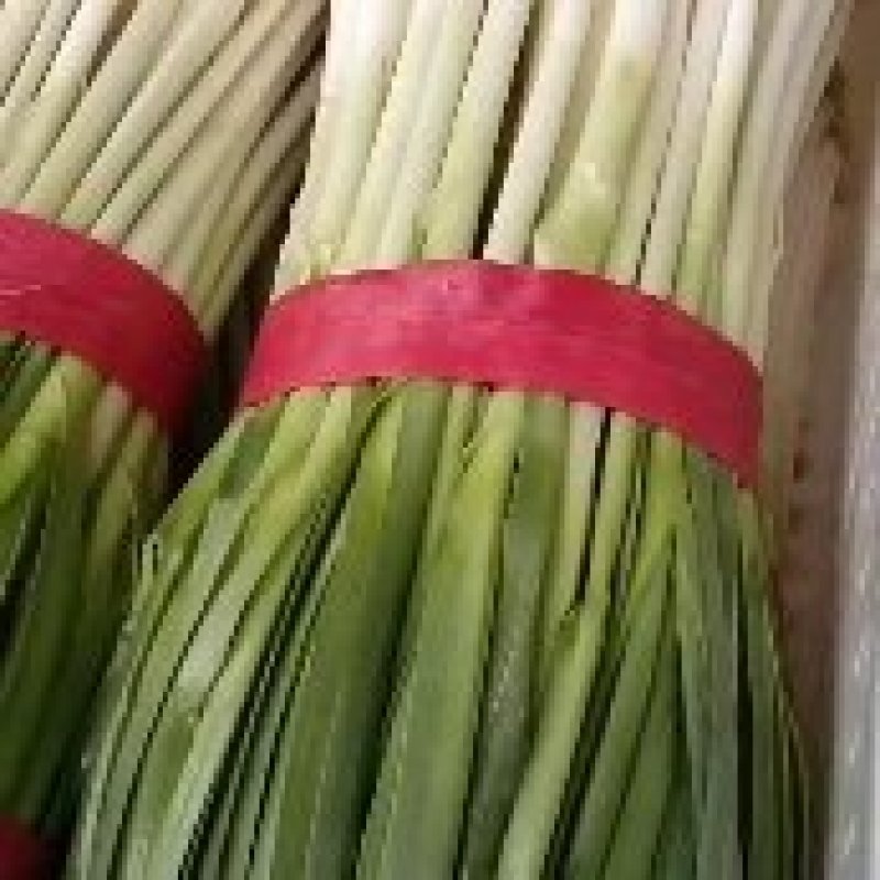 香葱，青蒜油菜以及各种蔬菜