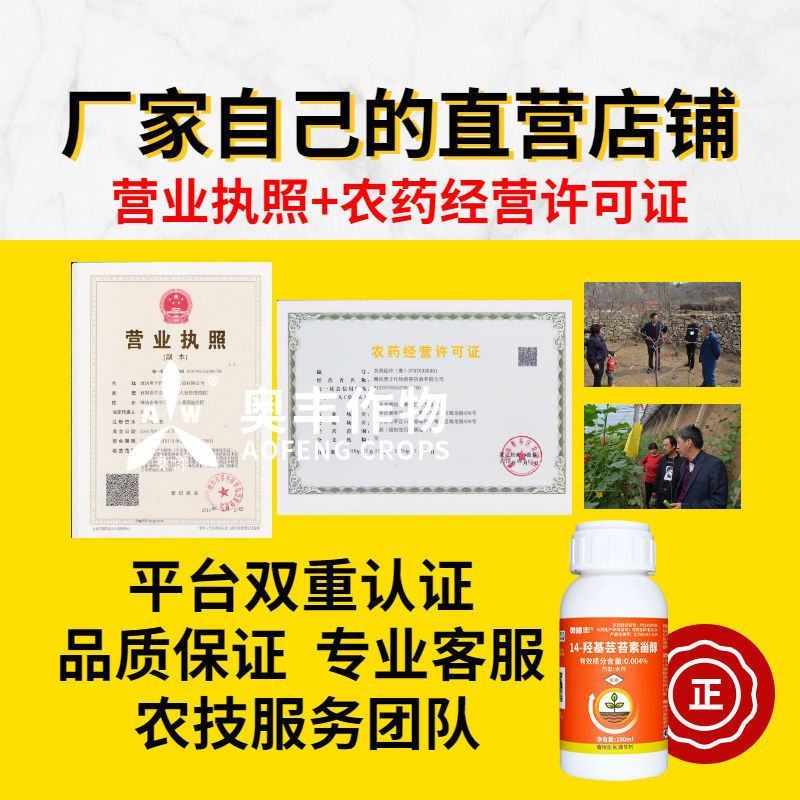 奥丰14羟基芸苔素甾醇调节剂壮苗保花保果