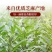 纯正黑芝麻香油正宗小磨香油无添加月子油凉拌菜火锅油农家用