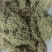 漯河百亩金银花持续采摘产新有需要的联系