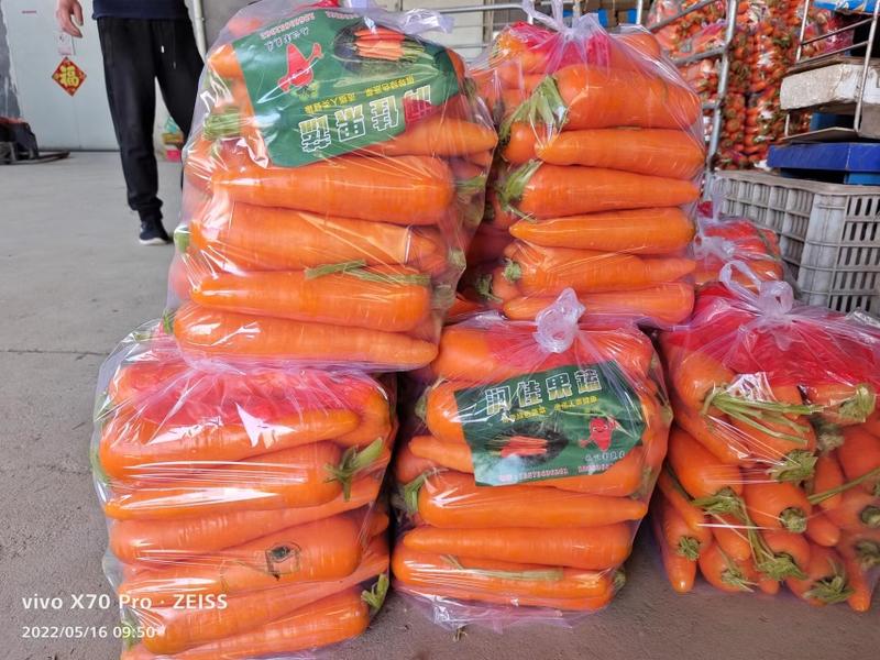 【胡萝卜】优质三红胡萝卜产地直销量大从优坏单包赔