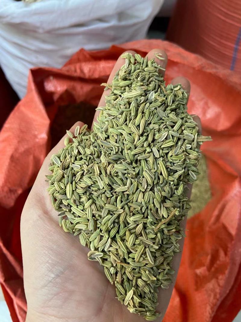 国产特绿小茴香（行情变化大，以具体报价为准）