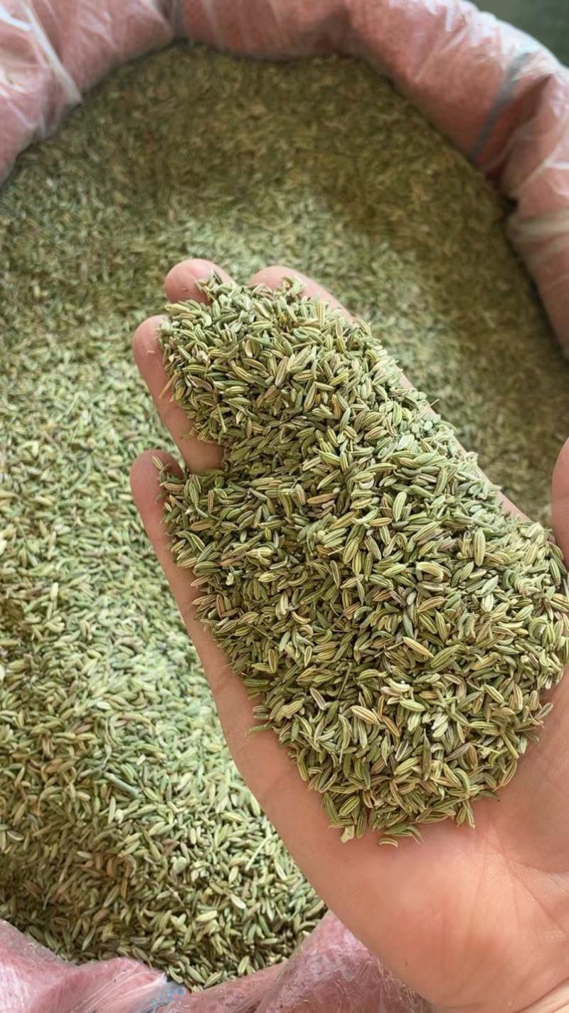 国产特绿小茴香（行情变化大，以具体报价为准）