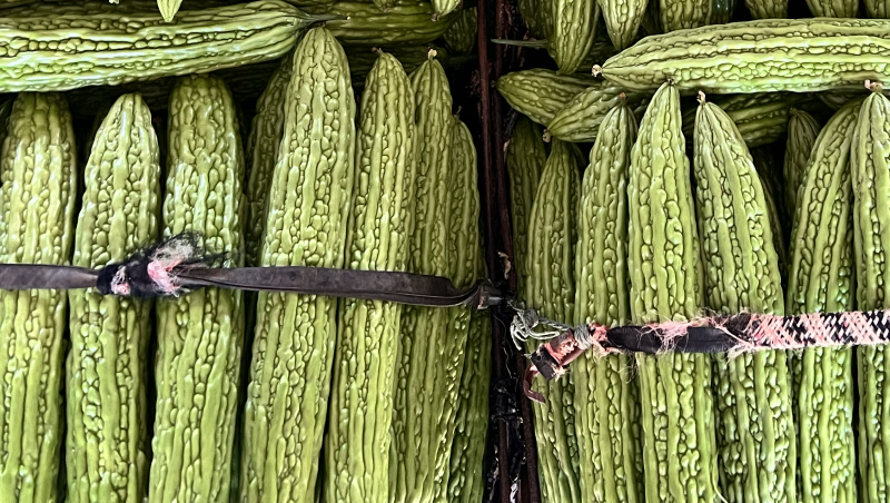 精品苦瓜，实力代办，专业提供社区团购，超市，食堂，可致电