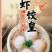广式虾饺皇蒸饺煎饺营养早餐半成品速食饺子吃的速冻食品批