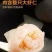 广式虾饺皇蒸饺煎饺营养早餐半成品速食饺子吃的速冻食品批