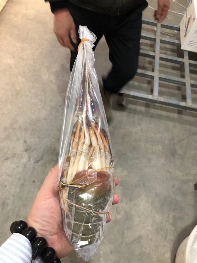 活冻小青龙刺身级