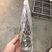 活冻小青龙刺身级
