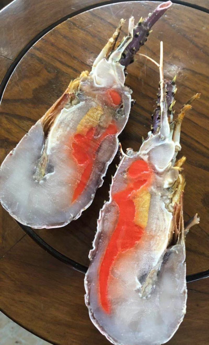 活冻小青龙刺身级